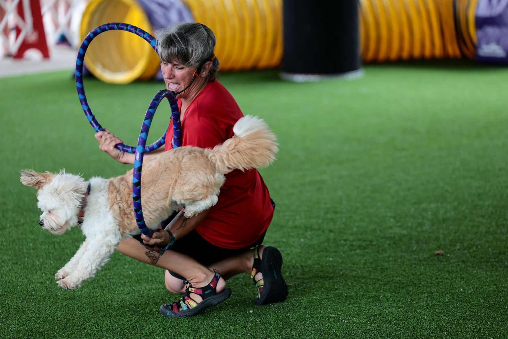 Purina dogs showcase skills at Union Station